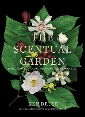 Scénická zahrada: Sluneční zahrada: Objevování světa botanických vůní - The Scentual Garden: Exploring the World of Botanical Fragrance