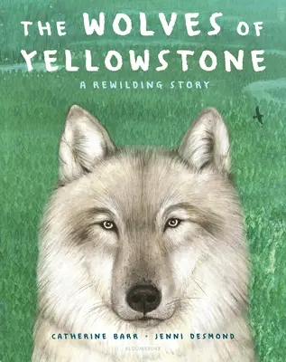 Vlci z Yellowstonu: A Rewilding Story: A Rewilding Story - The Wolves of Yellowstone: A Rewilding Story