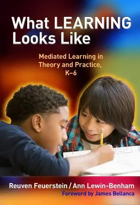 Jak vypadá učení: K-6: Zprostředkované učení v teorii a praxi. - What Learning Looks Like: Mediated Learning in Theory and Practice, K-6