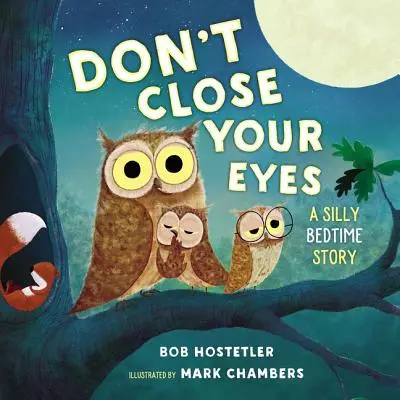 Nezavírej oči: Hloupý příběh na dobrou noc - Don't Close Your Eyes: A Silly Bedtime Story