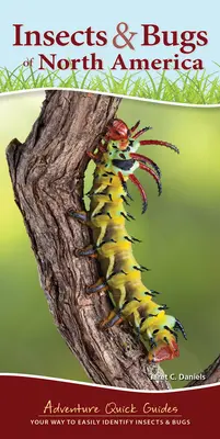 Hmyz a brouci Severní Ameriky: Vaše cesta ke snadnému určování hmyzu a brouků - Insects & Bugs of North America: Your Way to Easily Identify Insects & Bugs