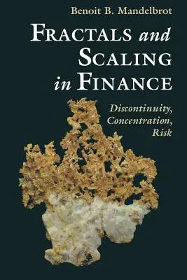 Fraktály a škálování ve financích: Diskontinuita, koncentrace, riziko. Selecta Volume E - Fractals and Scaling in Finance: Discontinuity, Concentration, Risk. Selecta Volume E