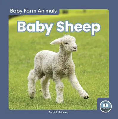 Mláďata ovcí - Baby Sheep