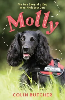 Molly: Pravdivý příběh psa, který zachraňuje ztracené kočky - Molly: The True Story of the Dog Who Rescues Lost Cats