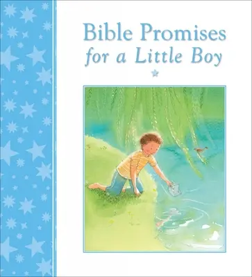 Biblická zaslíbení pro malého chlapce - Bible Promises for a Little Boy