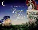 Morče Romeo a Julie - Guinea Pig Romeo & Juliet