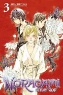 Noragami: Bludný bůh 3 - Noragami: Stray God 3