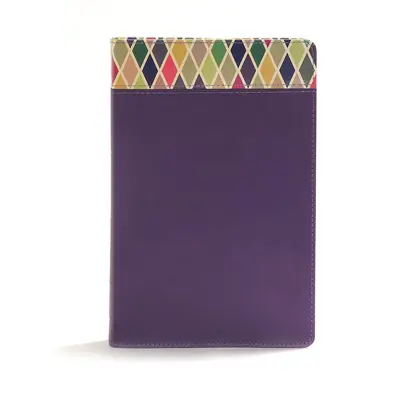 Studijní bible CSB Rainbow, fialová Leathertouch - CSB Rainbow Study Bible, Purple Leathertouch