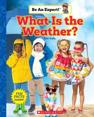 Jaké je počasí? (Staňte se odborníkem!) - What Is the Weather? (Be an Expert!)