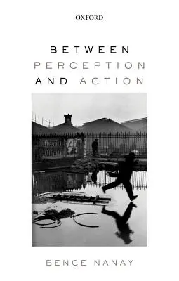 Mezi vnímáním a jednáním - Between Perception and Action