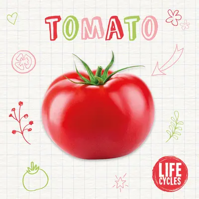 Rajče - Tomato