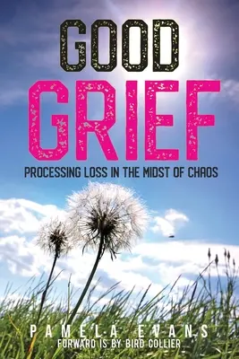 Dobrý žal: Ztráta uprostřed chaosu - Good Grief: Processing Loss in the Midst of Chaos