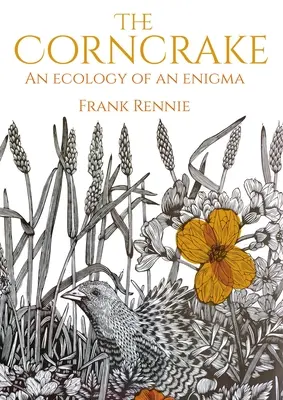 Kukuřice: Ekologie jedné záhady - The Corncrake: An Ecology of an Enigma