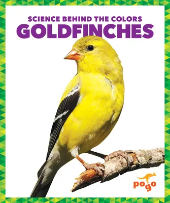 Zlatohlávci - Goldfinches