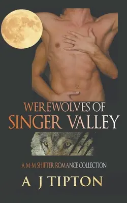 Vlkodlaci ze Singer Valley: A M-M Shifter Romance Collection: A M-M Shifter Romance Collection - Werewolves of Singer Valley: A M-M Shifter Romance Collection