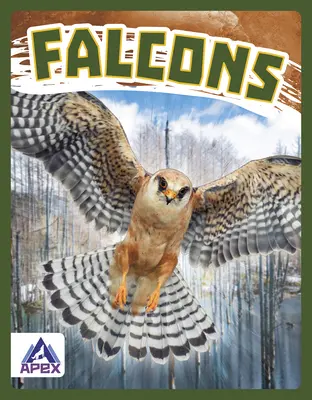 Sokoli - Falcons