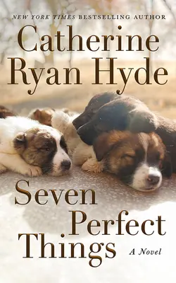 Sedm dokonalých věcí - Seven Perfect Things