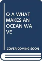 Q A CO TVOŘÍ OCEÁNSKOU VLNU - Q A WHAT MAKES AN OCEAN WAVE
