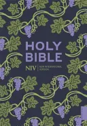 NIV Holy Bible (Hodder Classics)