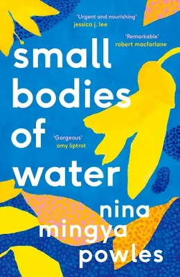 Malé vodní plochy - Small Bodies of Water