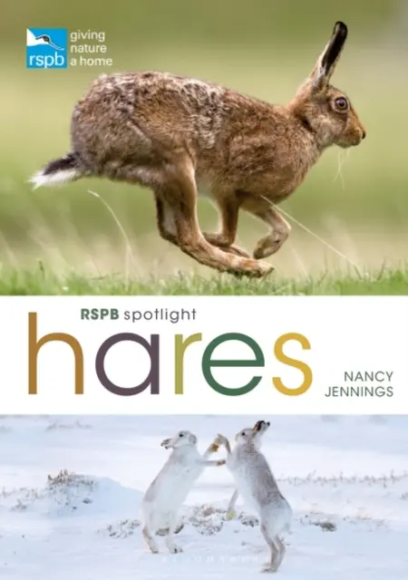 Zajíci v centru pozornosti RSPB - RSPB Spotlight Hares