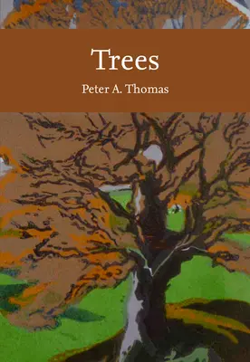 Stromy - Trees
