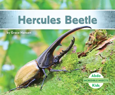 Brouk Herkules - Hercules Beetle