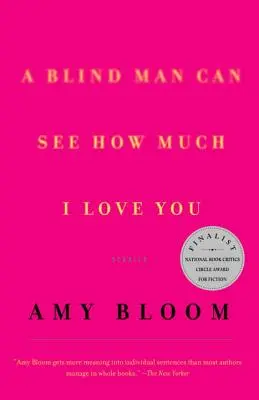 Slepec vidí, jak moc tě miluji: Příběhy - A Blind Man Can See How Much I Love You: Stories