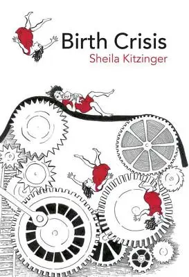Krize při porodu - Birth Crisis