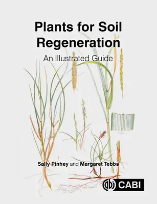 Rostliny pro regeneraci půdy: Ilustrovaný průvodce - Plants for Soil Regeneration: An Illustrated Guide