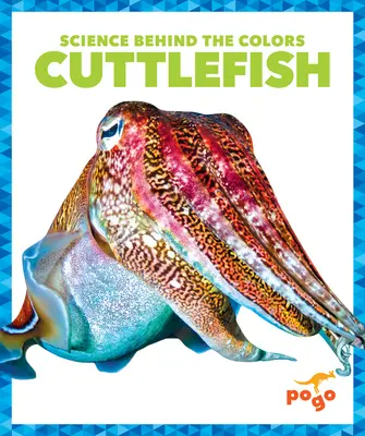 Sépie - Cuttlefish