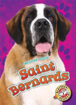 bernardýni - Saint Bernards