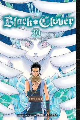 Černý čtyřlístek, svazek 30: svazek 30 - Black Clover, Vol. 30: Volume 30