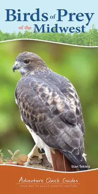 Draví ptáci Středozápadu: Cesta ke snadnému určování dravců - Birds of Prey of the Midwest: Your Way to Easily Identify Raptors