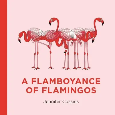 Plameňák plameňáků - A Flamboyance of Flamingos