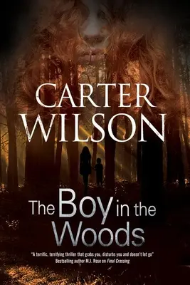 Chlapec v lese - The Boy in the Woods