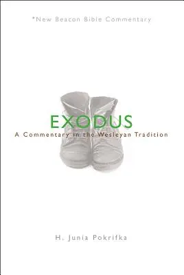 Nbbc, Exodus: Komentář ve wesleyánské tradici - Nbbc, Exodus: A Commentary in the Wesleyan Tradition