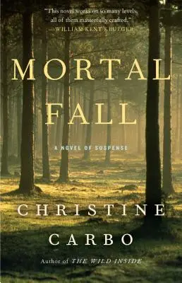 Smrtelný pád, 2: Román plný napětí - Mortal Fall, 2: A Novel of Suspense