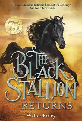 Černý hřebec se vrací - The Black Stallion Returns