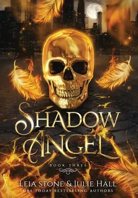 Stínový anděl: Kniha třetí - Shadow Angel: Book Three