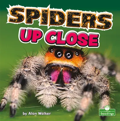 Pavouci zblízka - Spiders Up Close