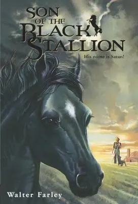 Syn černého hřebce - Son of the Black Stallion