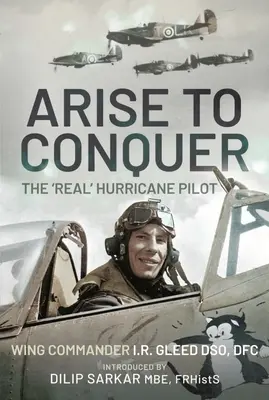 Povstaň, abys zvítězil: „Skutečný“ pilot Hurricanu - Arise to Conquer: The 'Real' Hurricane Pilot