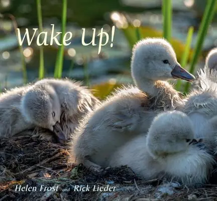 Probuďte se! - Wake Up!