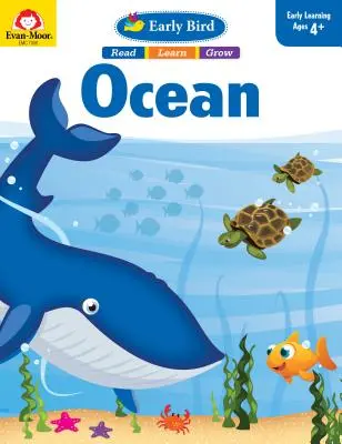 Oceán pro ranní ptáčata - Early Bird Ocean