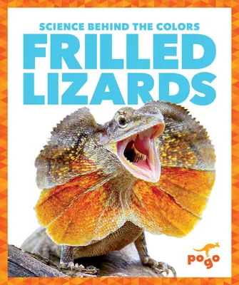 Ještěrky rýhované - Frilled Lizards