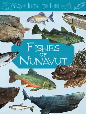 Juniorský průvodce v terénu: Ryba Nunavutu: Vydání v angličtině: English Edition - Junior Field Guide: Fishes of Nunavut: English Edition