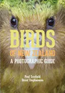 Ptáci Nového Zélandu: Fotografický průvodce - Birds of New Zealand: A Photographic Guide