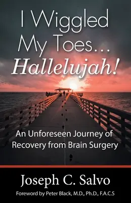 Vrtěl jsem prsty na nohou .... Aleluja!: Neočekávaná cesta za zotavením po operaci mozku - I Wiggled My Toes ... Hallelujah!: An Unforeseen Journey of Recovery from Brain Surgery