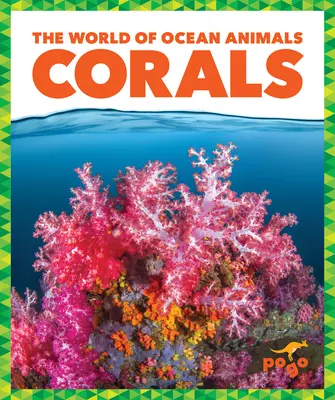 Korály - Corals